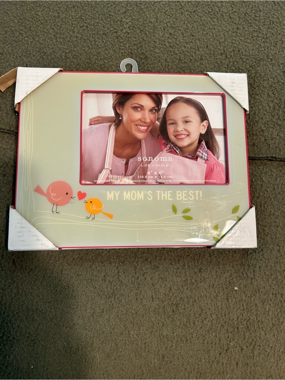 Sonoma Pink-Trimmed 'My Mom's the Best' Decorative Picture Frame